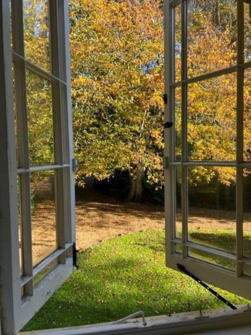 Landford'S Cottage, Your Retreat! Eksteriør bilde